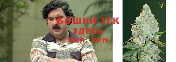 СК Пересвет