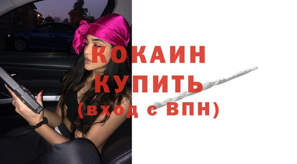 дживик Осинники