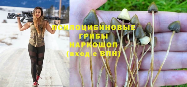 дживик Осинники