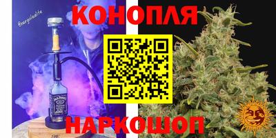 стаф Бугуруслан