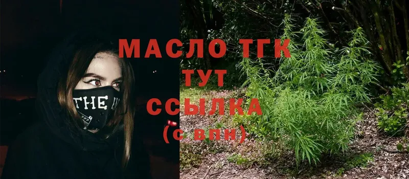 MEGA как зайти  Выборг  Дистиллят ТГК гашишное масло  закладки 