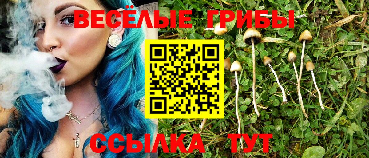 Псилоцибиновые грибы MAGIC MUSHROOMS  Галлюциногенные грибы мицелий  Вход с VPN  Выборг 