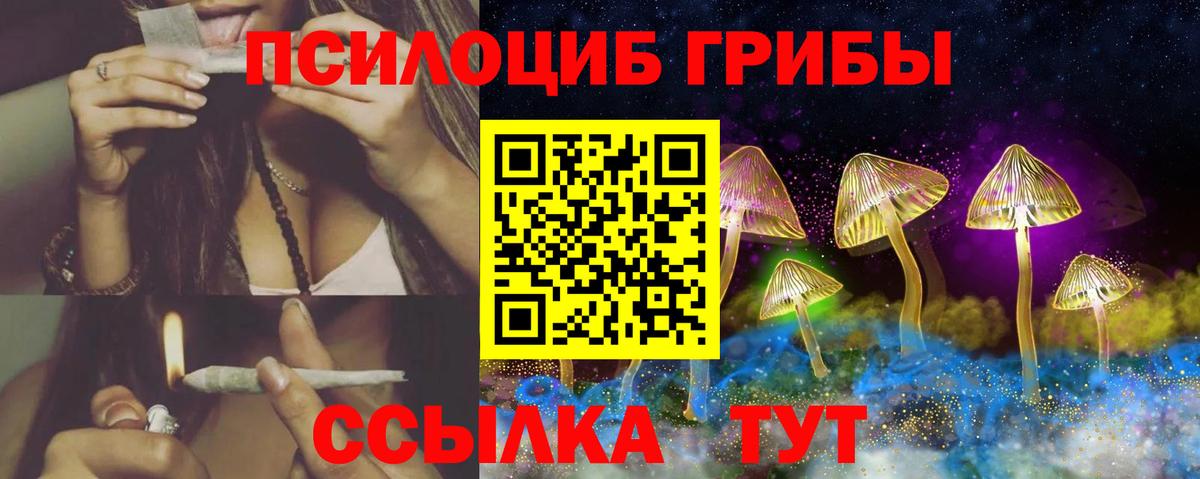 Псилоцибиновые грибы Magic Shrooms  Выборг 