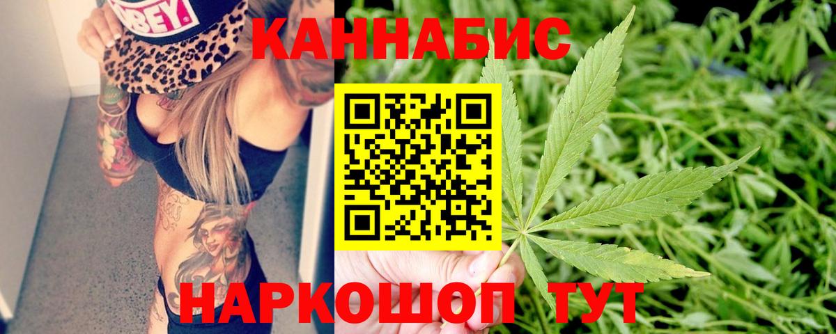 Шишки марихуана White Widow  Каннабис конопля  Каннабис OG Kush  Выборг 